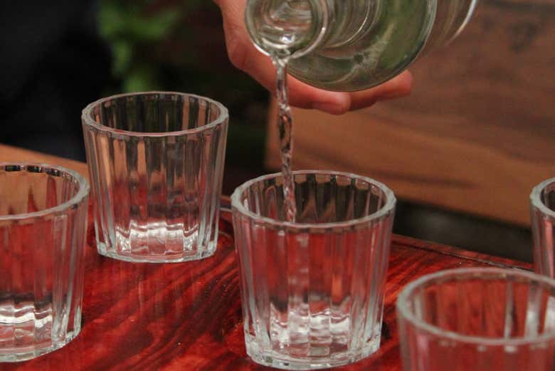 Cata de mezcales en Oaxaca