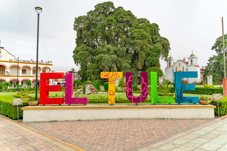 Mitla, Teotitlán del Valle y fábrica de Mezcal