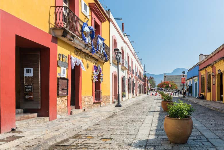 Tour privado por Oaxaca