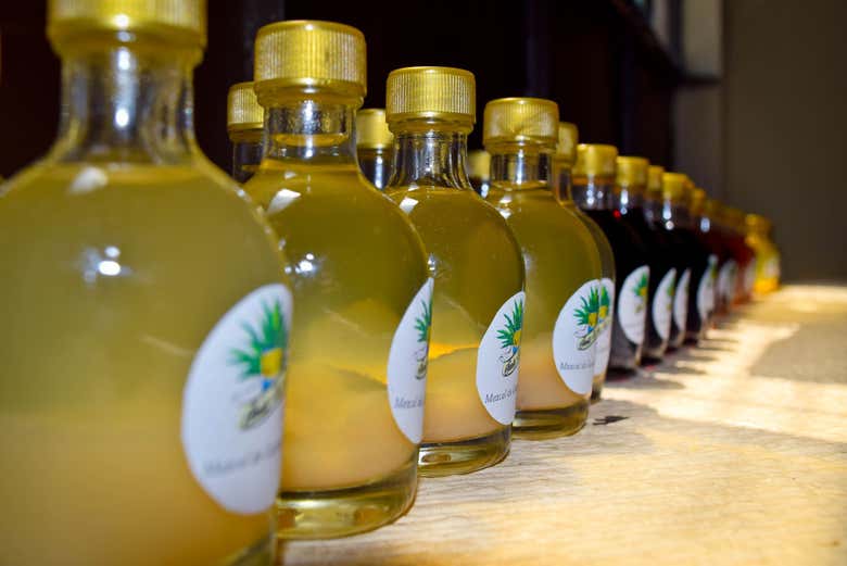 Excursión a Tule y Teotitlán del Valle + Fábrica de mezcal