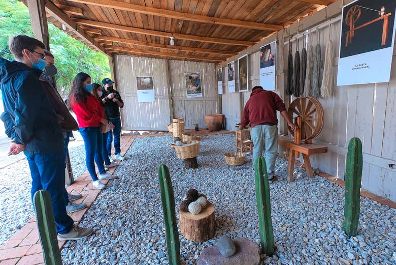 Excursión a Tule y Teotitlán del Valle + Fábrica de mezcal