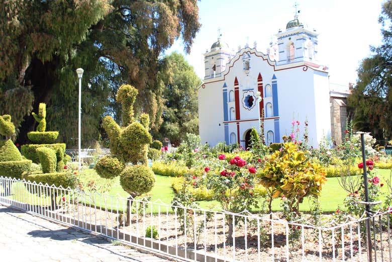 Excursión a Tule y Teotitlán del Valle + Fábrica de mezcal