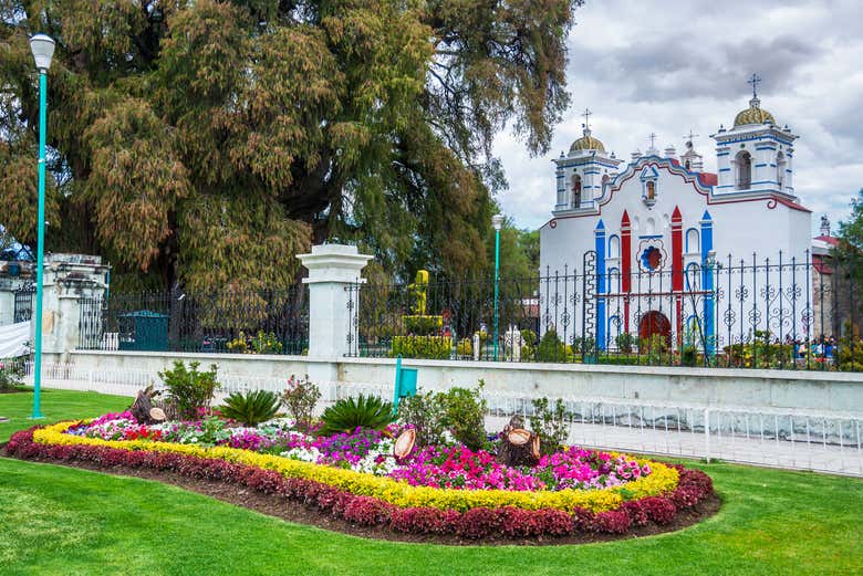 Excursión a Tule y Teotitlán del Valle + Fábrica de mezcal