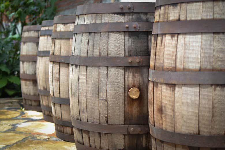 Excursión a Tule y Teotitlán del Valle + Fábrica de mezcal
