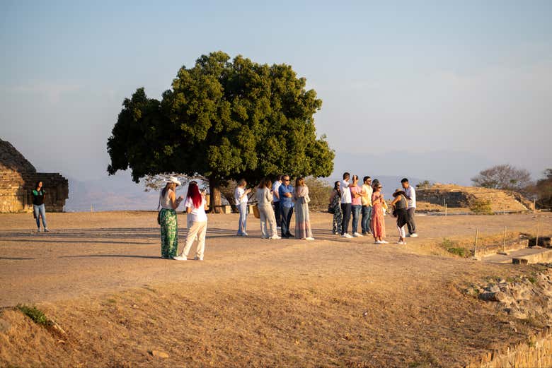 Tour al atardecer por la zona arqueológica de Monte Albán