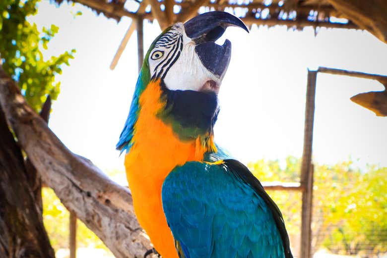 Entrada a Canyon's Kingdom Experience y Aqua Park