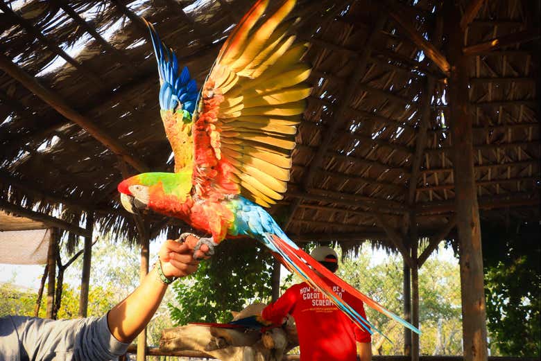 Entrada a Canyon's Kingdom Experience y Aqua Park