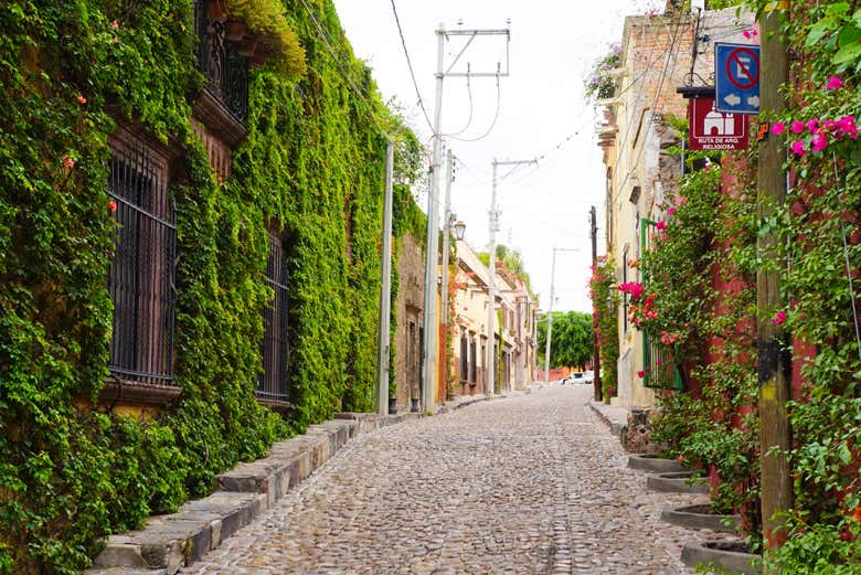 Excursión a San Miguel de Allende + Aguas termales