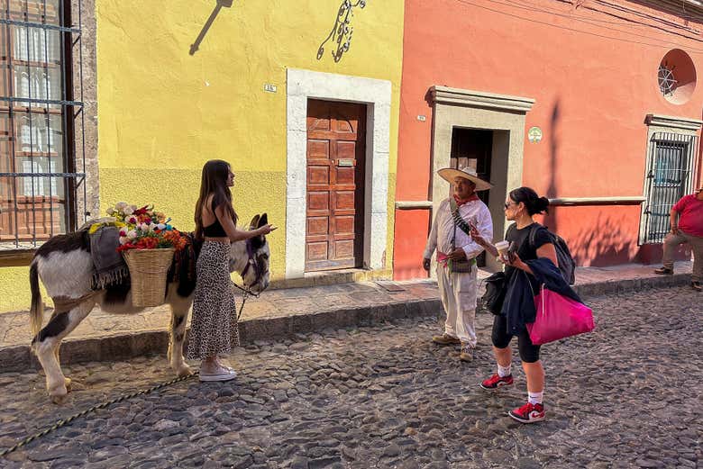 Excursión a San Miguel de Allende
