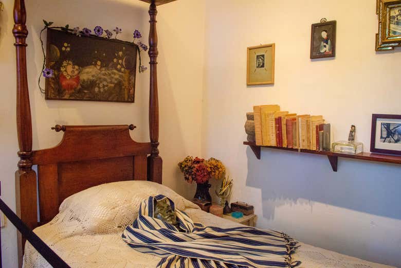 Visita guiada por el Museo Frida Kahlo en grupo reducido