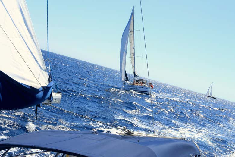 Paseo en velero por el Mar de Cortés