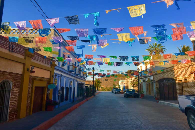 Excursión a Todos Santos