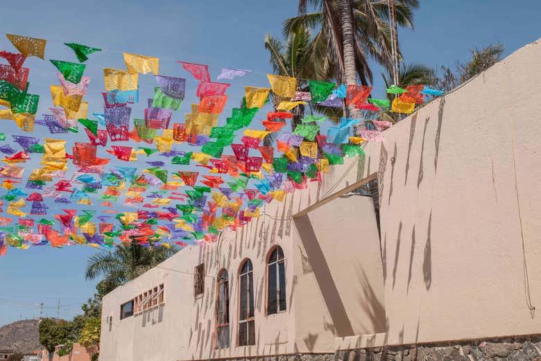 Excursión a Todos Santos