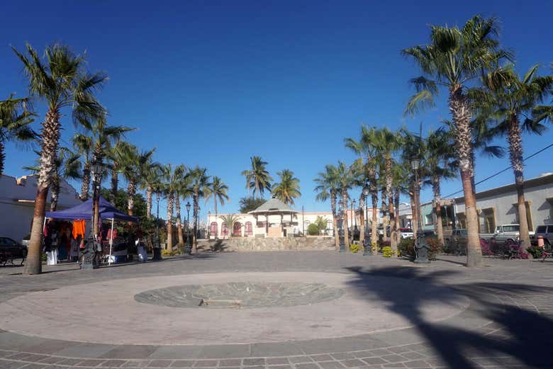 Excursión a Todos Santos