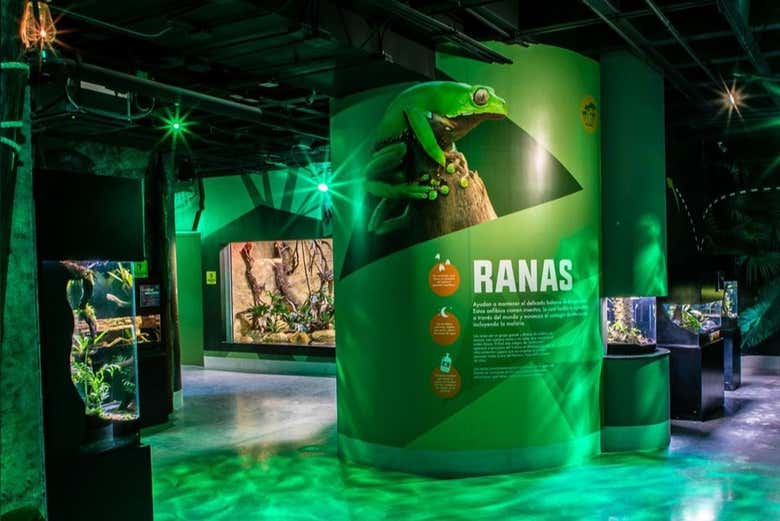 Entrada al Acuario Michin Ciudad de México