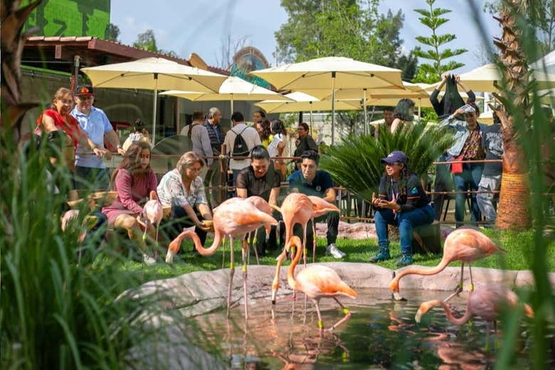 Entrada al Acuario Michin Ciudad de México