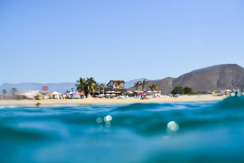 Curso de surf en Los Cabos