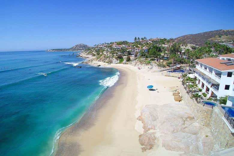 Curso de surf en Los Cabos
