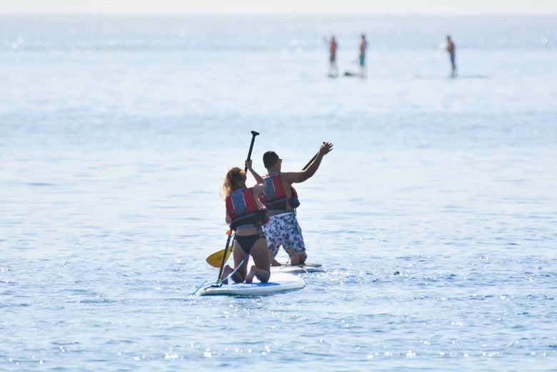 Paddle surf en Los Cabos
