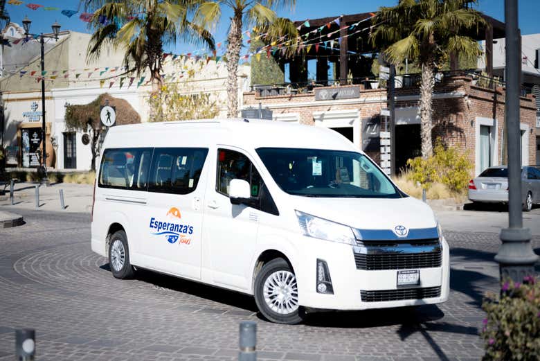 Tour por San José del Cabo + Degustación de cerveza