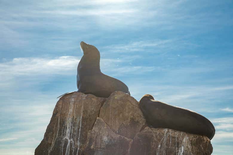 Tour por Cabo San Lucas