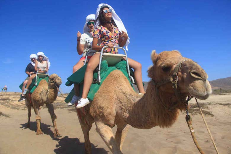Paseo en camello por el desierto de Los Cabos