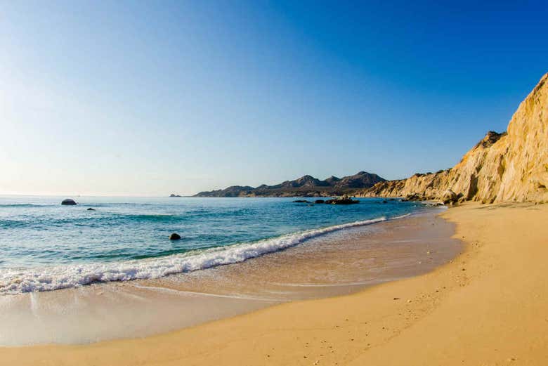 Paseo en camello por el desierto de Los Cabos