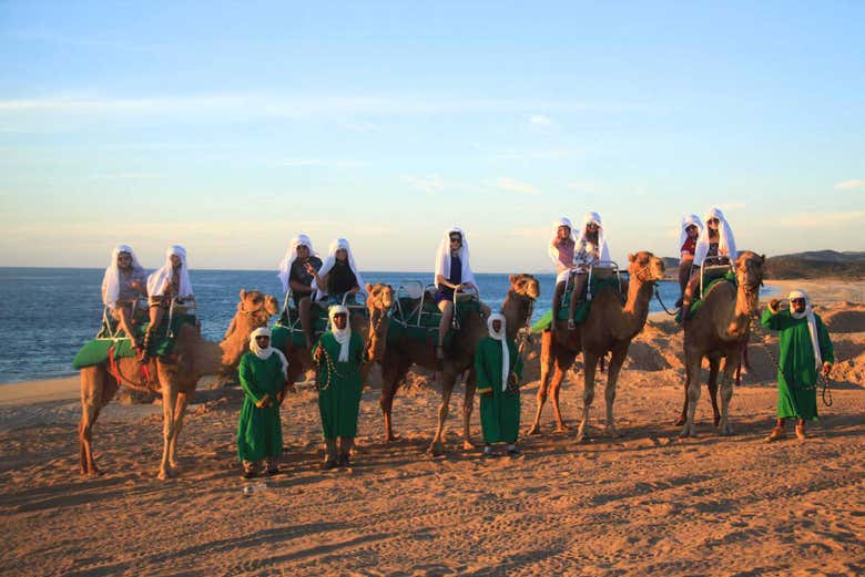 Paseo en camello por el desierto de Los Cabos