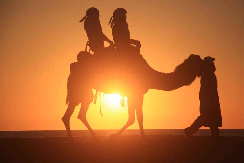 Paseo en camello por el desierto de Los Cabos