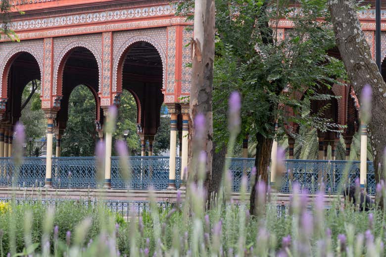Free tour por Santa María la Ribera