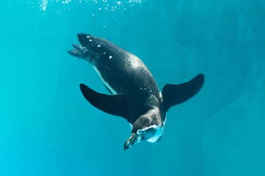 Entrada al Acuario Inbursa