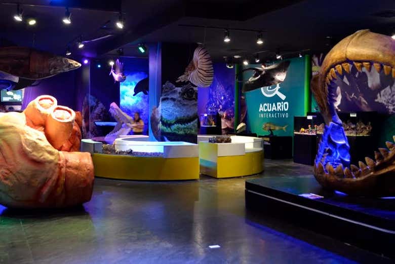 Entrada al Acuario Inbursa