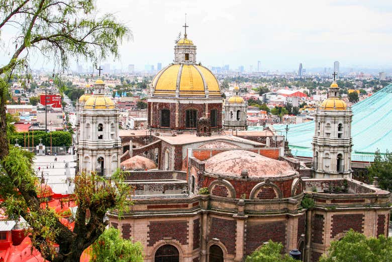 Excursión privada desde Ciudad de México
