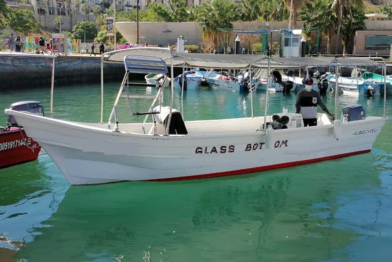 Paseo en barco por Cabo San Lucas con snorkel