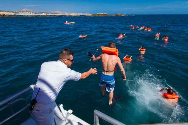 Paseo en catamarán por el Mar de Cortés