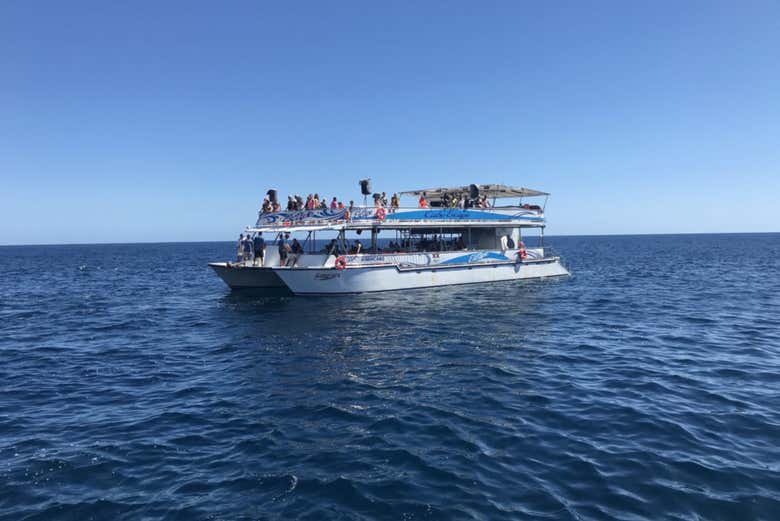 Paseo en catamarán por el Mar de Cortés