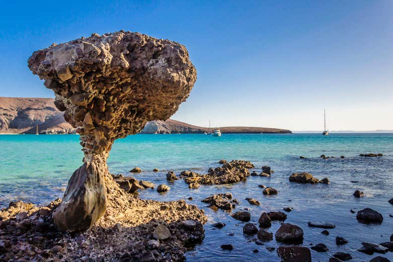 Excursión a la playa Balandra y Todos Santos