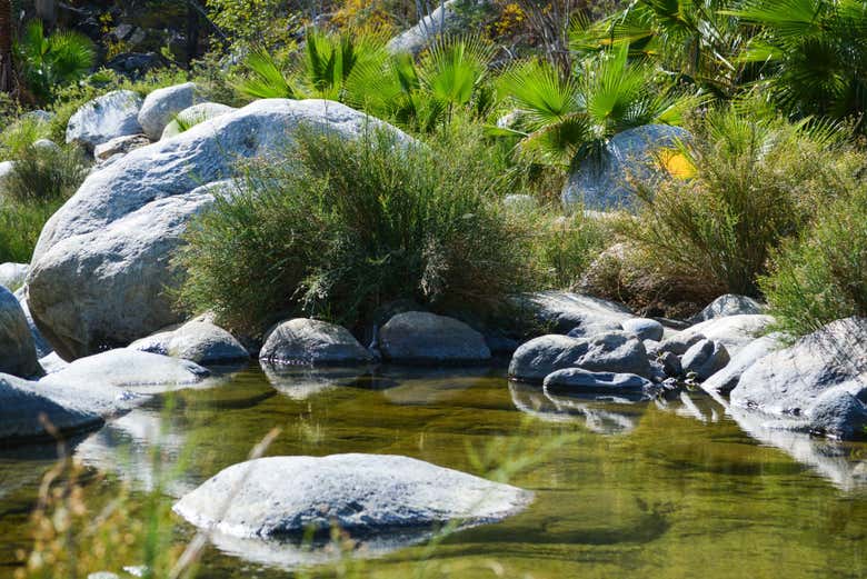 Senderismo por el Cañón de la Zorra
