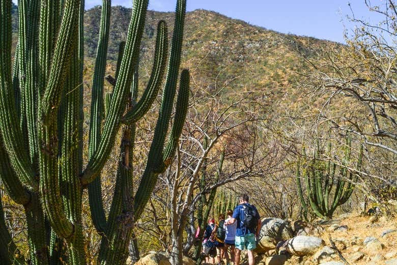Senderismo por el Cañón de la Zorra