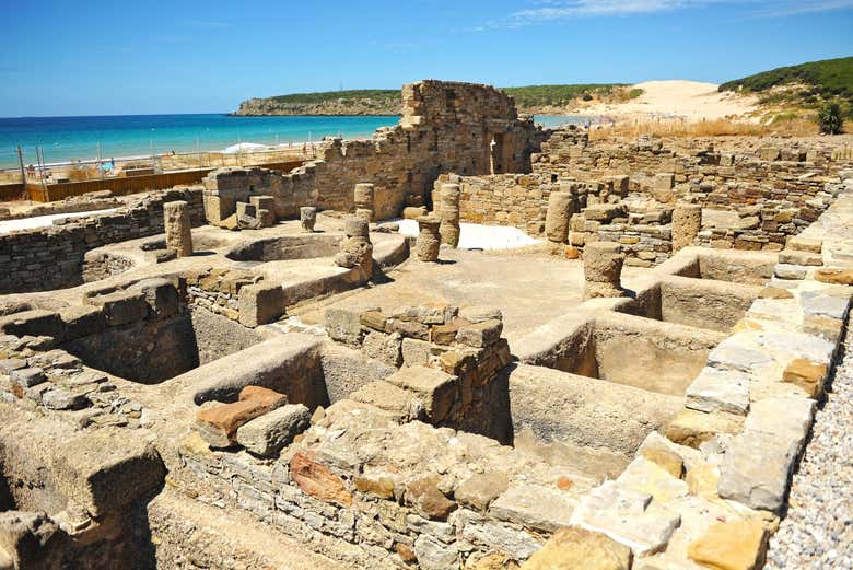 Free tour por las ruinas de Baelo Claudia