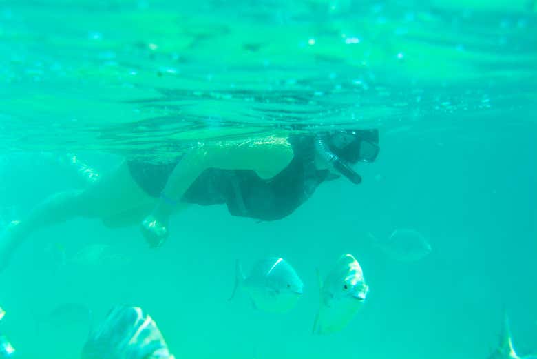Kayak y snorkel en Los Cabos