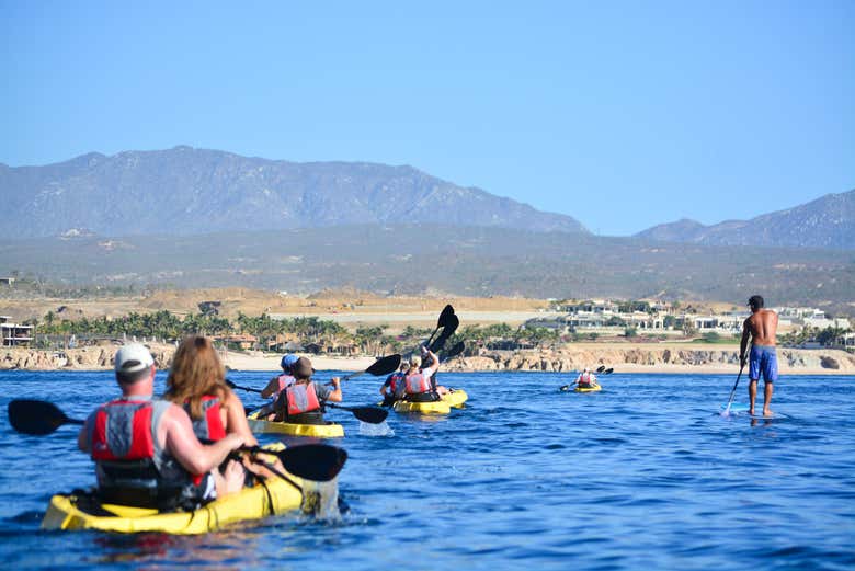 Kayak y snorkel en Los Cabos
