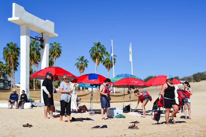 Kayak y snorkel en Los Cabos