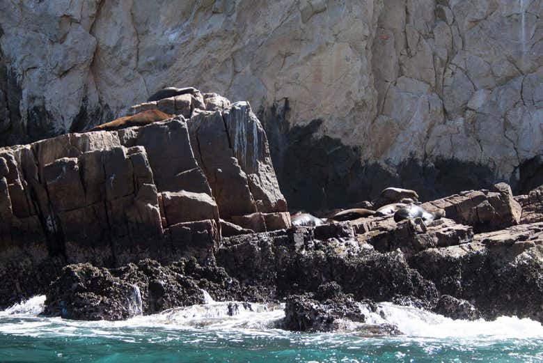 Kayak y snorkel en Los Cabos