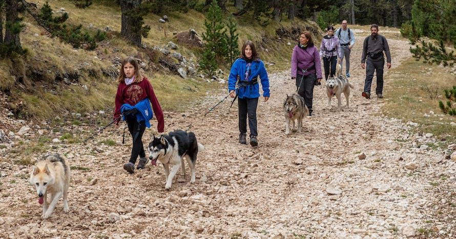 Pack aventura con huskies en Tuixent-La Vansa: Naturaleza y animales