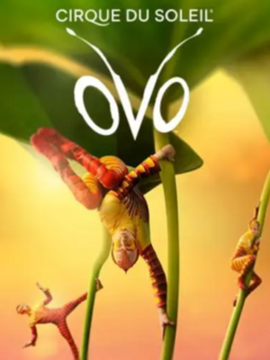 Cirque du Soleil - OVO, en Madrid