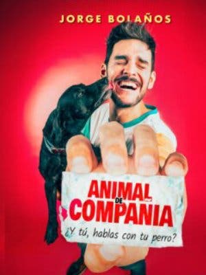Jorge Bolaos: Animal de Compaa_2