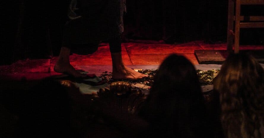 El Coleccionista de Sombras - Actividad relacionada