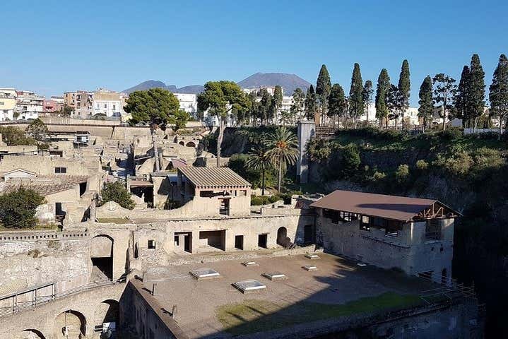 Excursión al Vesubio y Herculano