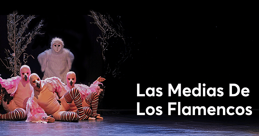 Las Medias de los Flamencos en Mori Vitacura